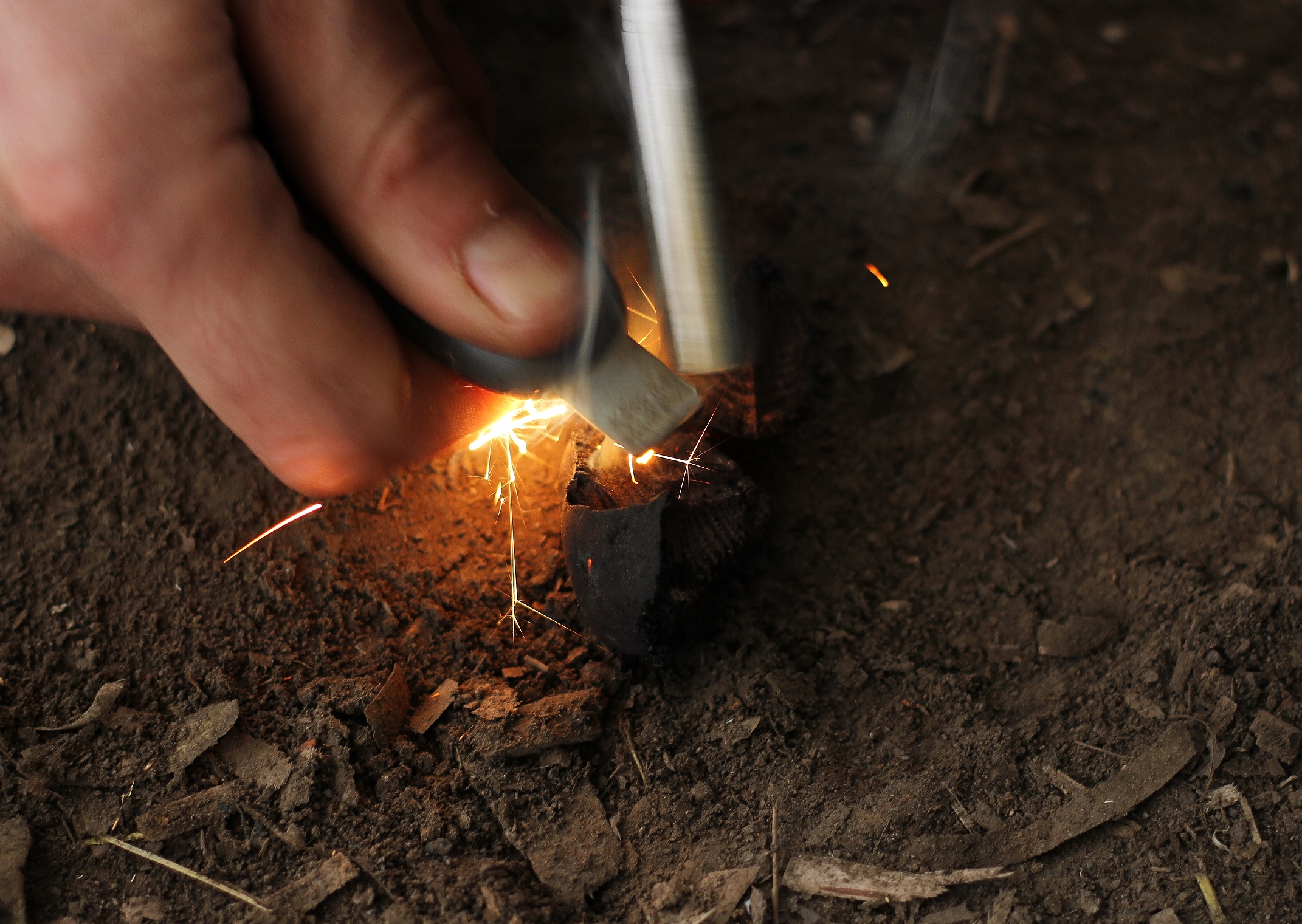 Bushcraft Survival Skills