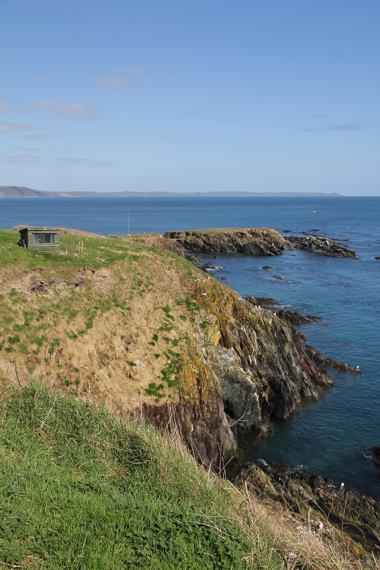 Walk: Looe Island