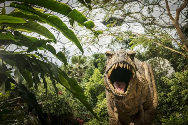 dinosaur-rainforest-biome