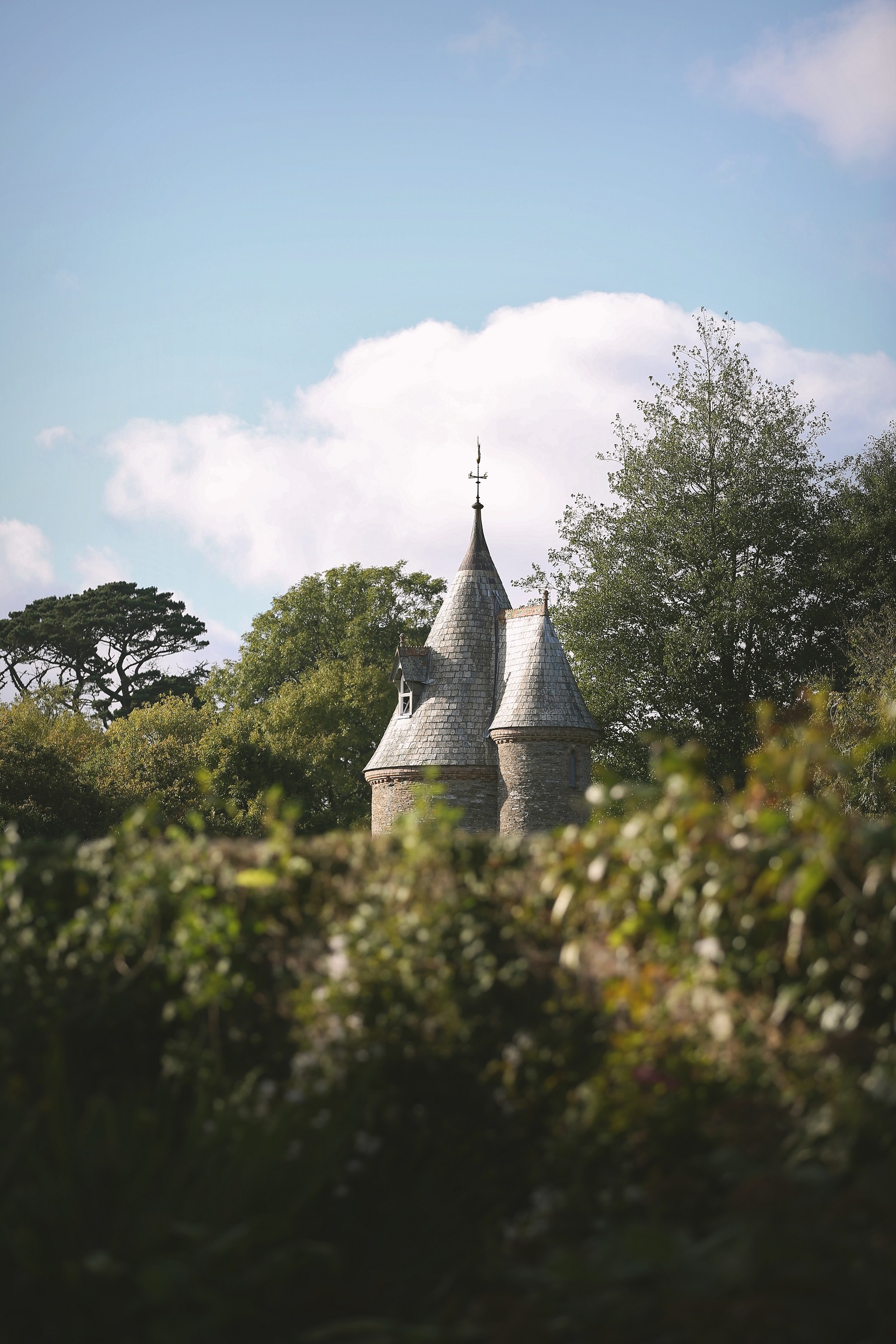Cornish Walk: Trelissick