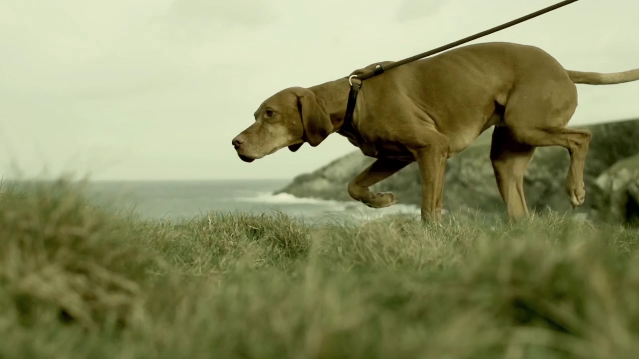 The National Trust in Cornwall