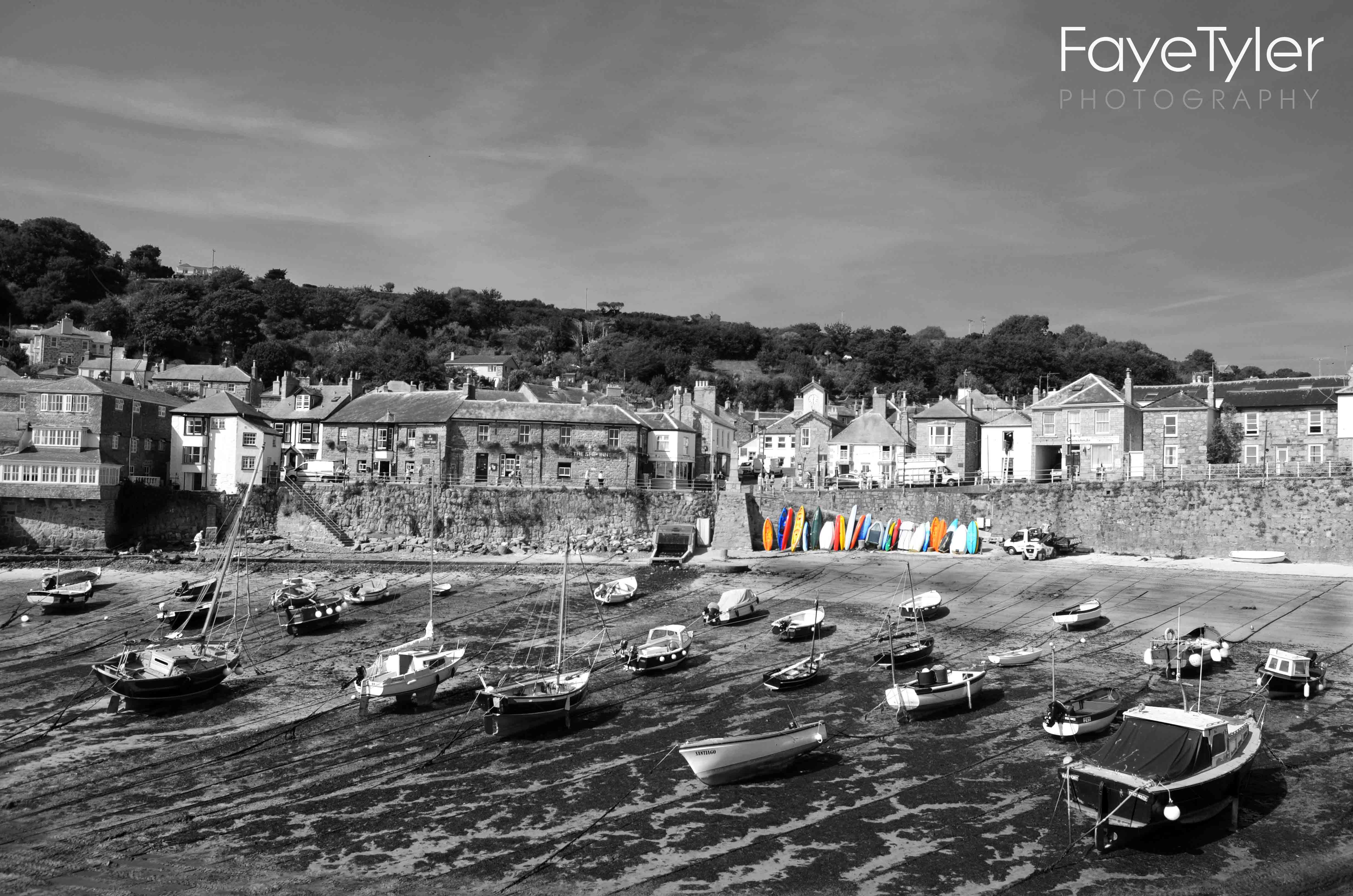 Faye Tyler Photography