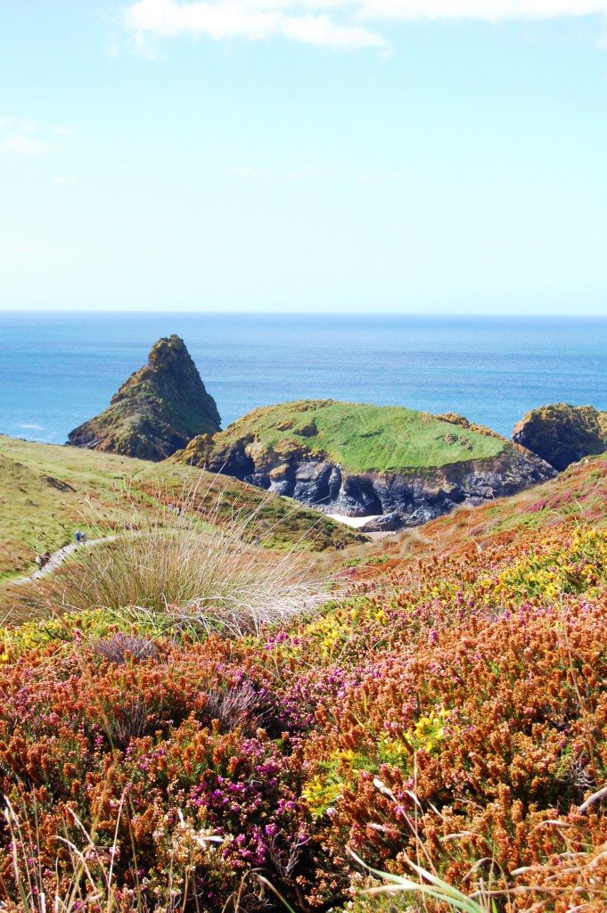 Viki Wilson Kynance fromt he cliff path